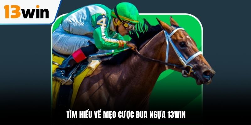 Tìm hiểu về bộ môn đua ngựa tại nhà cái 13WIN