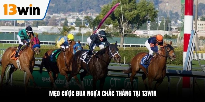 Chú ý khi áp dụng mẹo cược đua ngựa 13WIN